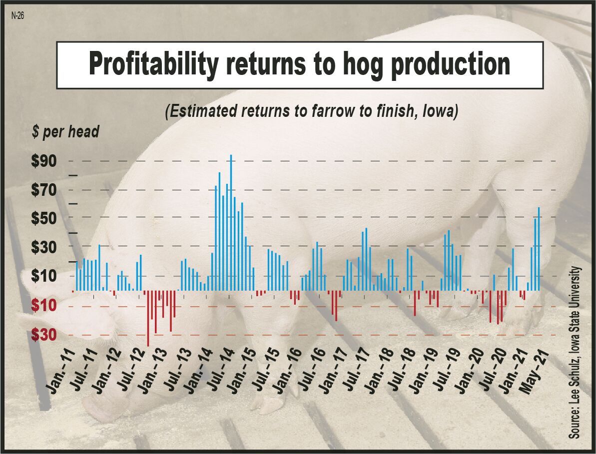 Hog prices forecast at seven-year high; herd growth minimal